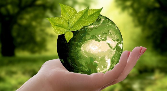 sustainable