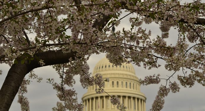 washington DC avec moins de 50 dollars