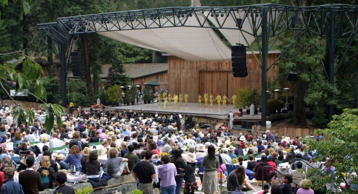 Stern grove