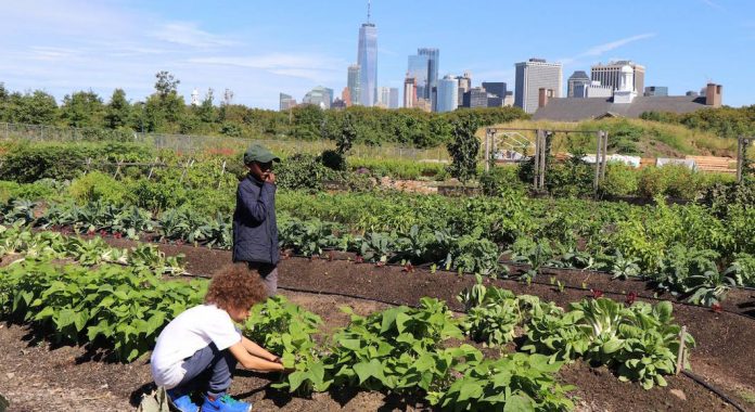 Governors Island