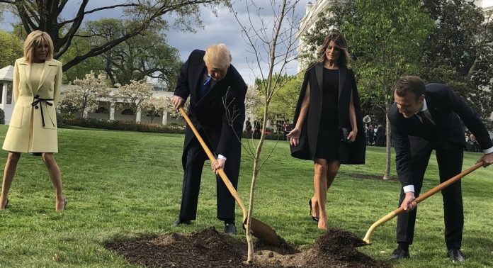 Trump_and_Macron_plant_a_tree