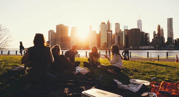picnic amis new york
