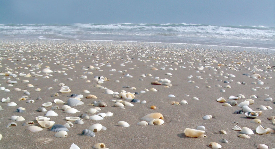 Les 20 plus belles plages du Texas en 2024