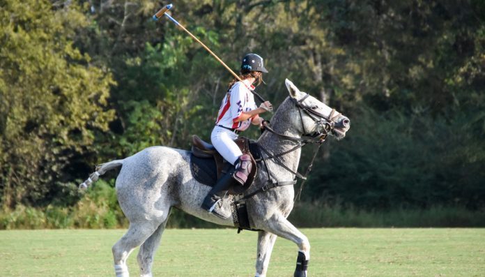 polo-696x397 (1)