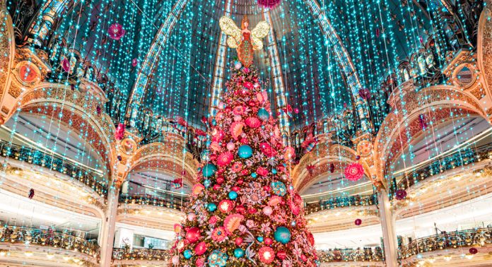 grand-sapin
