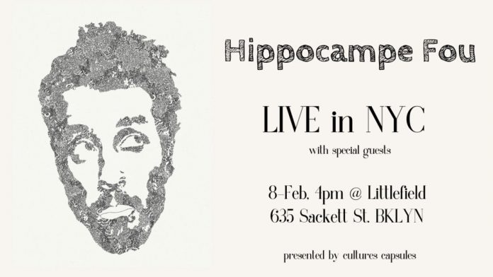 HIPPO_Banner_1
