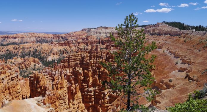 bryce 2