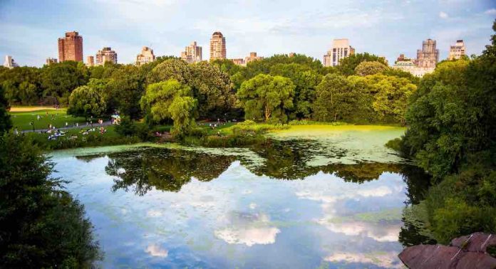 central park1 - ete a NYC