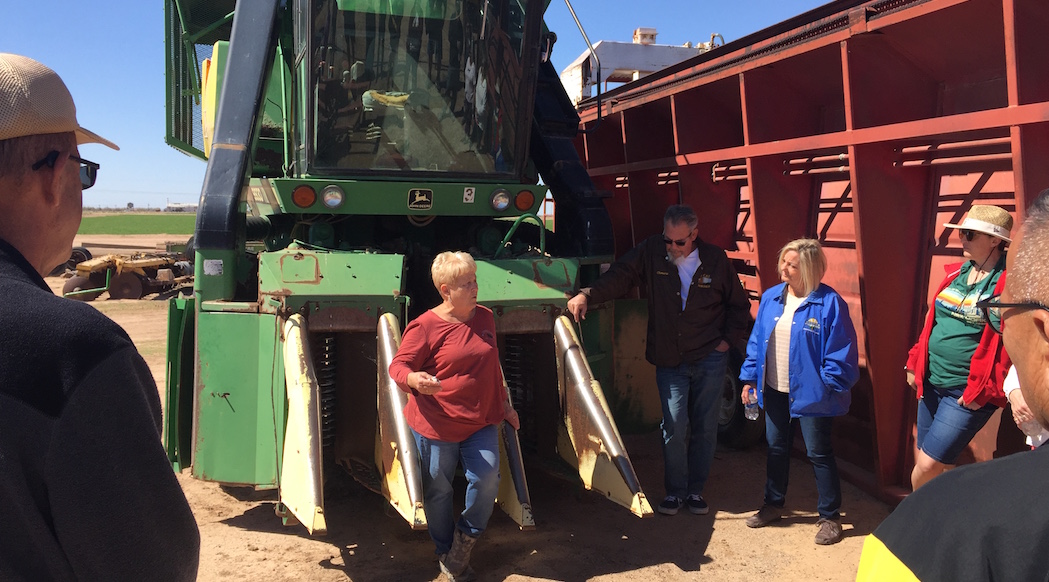 Sauver l’agriculture, le pari de Camp Verde en Arizona French Morning US