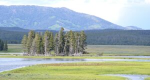 Couverture Pendleton Yellowstone National Park – Lancer 54x72, Neuve Avec étiquettes