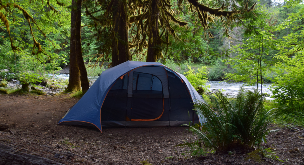 Camping Olympic NP