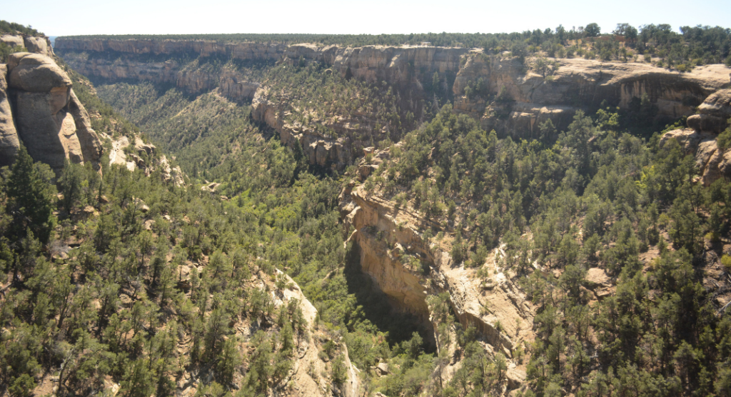 Canyon Mesa Verde