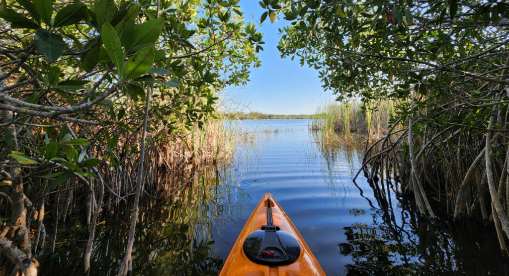 Mile Pond