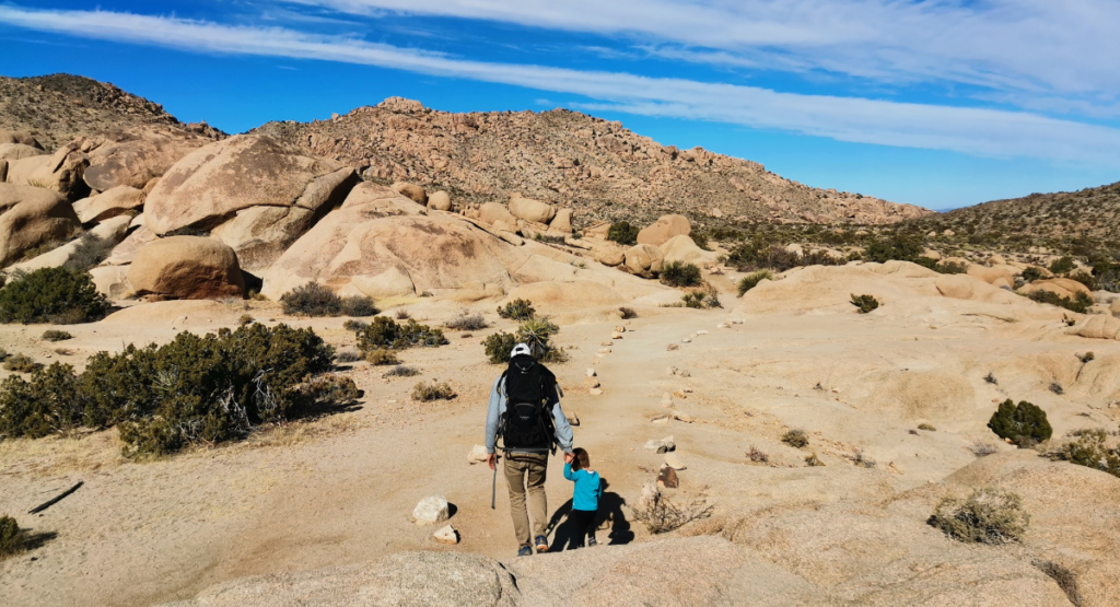 Parc national de Joshua